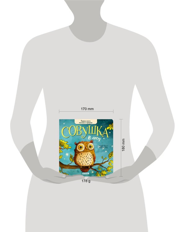Книжки-картонки. Совушка в лесу. Первая книга малыша о природе/Гримм С.