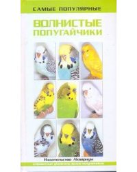 Самые популярные волнистые попугайчики