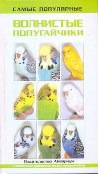 Аквар. Самые популярные волнистые попугайчики