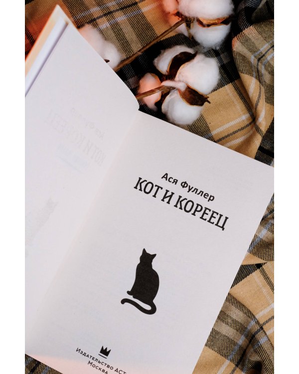 Кот и кореец