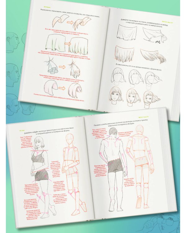 Рисуем вебтун: Легкий способ изучить анатомию