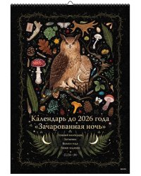 Календарь до 2026 года "Зачарованная ночь" (обложка Сова)