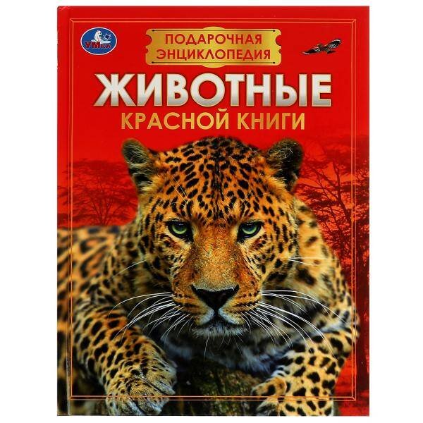 Обложка книги «Животные Красной книги. Подарочная энциклопедия. Серия: Волшебная книга. 256стр. Умка в кор.6шт», ISBN 9785506076742
