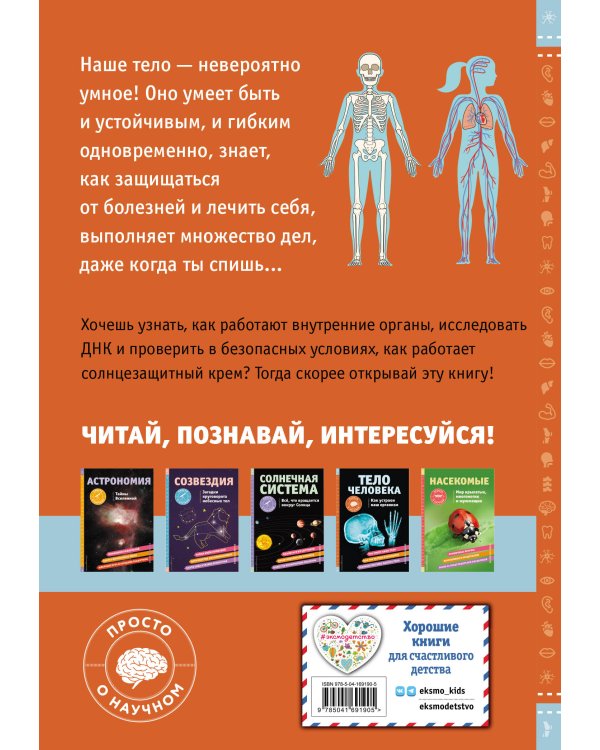 ТЕЛО ЧЕЛОВЕКА. Как устроен наш организм