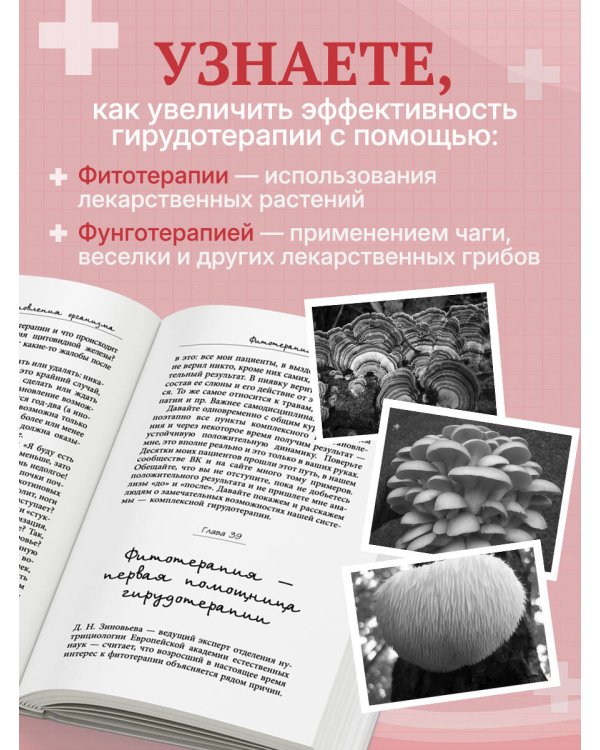 Лечение пиявками. Схемы гирудотерапии при сложных, хронических и запущенных заболеваниях