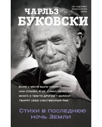 Стихи в последнюю ночь Земли