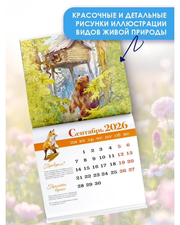 Познавательный календарь. Лесные тропинки. 2026