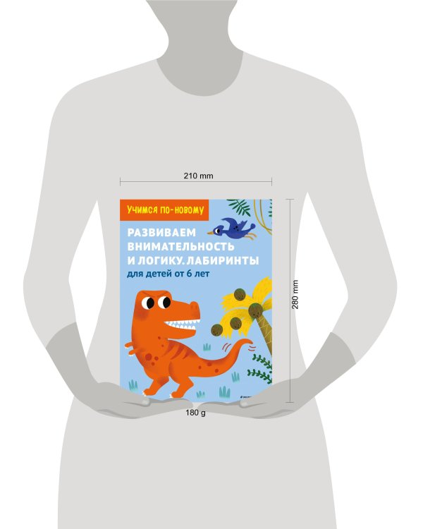 Развиваем внимательность и логику. Лабиринты: для детей от 6 лет