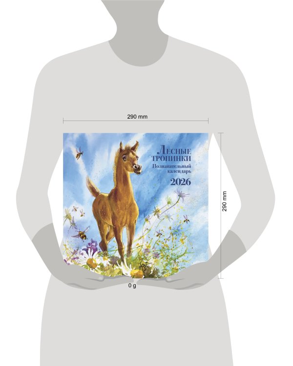 Познавательный календарь. Лесные тропинки. 2026