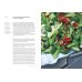 OTTOLENGHI. Поваренная книга OTTOLENGHI. Поваренная книга