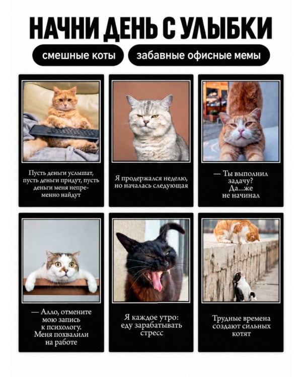 Дополнительное изображение книги «Я не вывожу! Офисная жизнь как она есть. Календарь настольный четырехблочный»