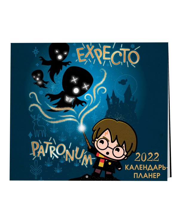Гарри Поттер. Настенный календарь-планер на 2022 год (245х280 мм)