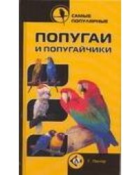 Самые популярные попугаи и попугайчики