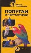 Аквар. Самые популярные попугаи и попугайчики