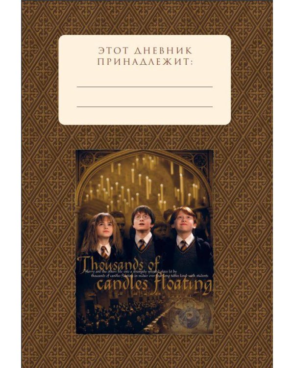 Дополнительное изображение книги «Читательский дневник. Гарри Поттер (32 л., твердый переплет, с наклейками)»