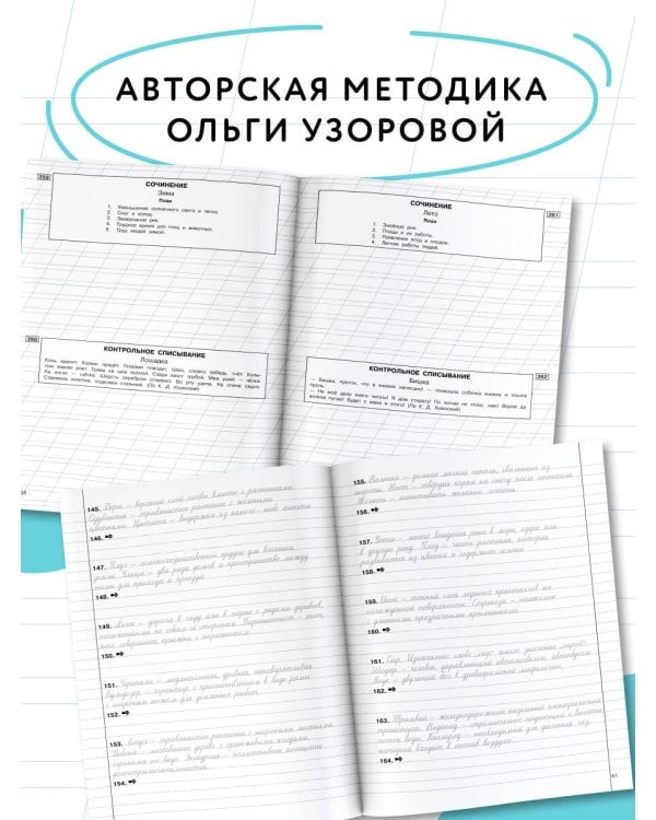 Чистописание и грамотность. Обучающие прописи