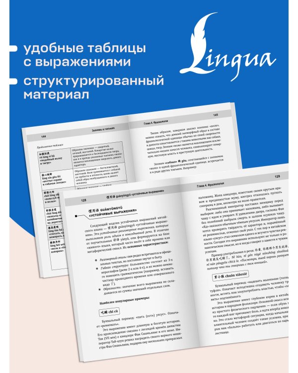 Дополнительное изображение книги «Китайский язык. Слова, которые вызывают трудности: синонимы, антонимы, омонимы и другие»