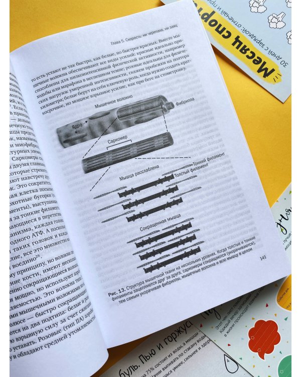 Парадокс упражнений. Научный взгляд на физическую активность, отдых и здоровье