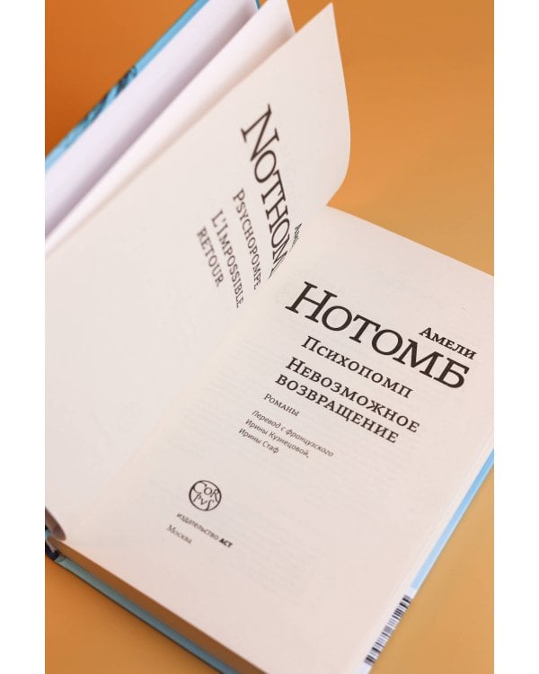 Дополнительное изображение книги «Психопомп. Невозможное возвращение»