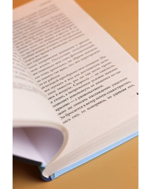 Дополнительное изображение книги «Психопомп. Невозможное возвращение»
