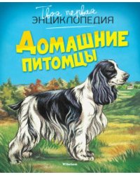 Домашние питомцы