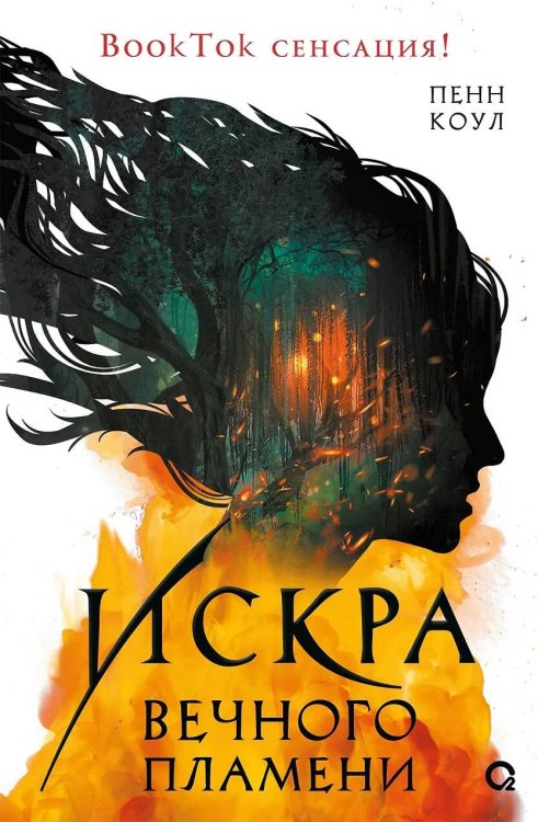 Пенн Коул. Искра вечного пламени