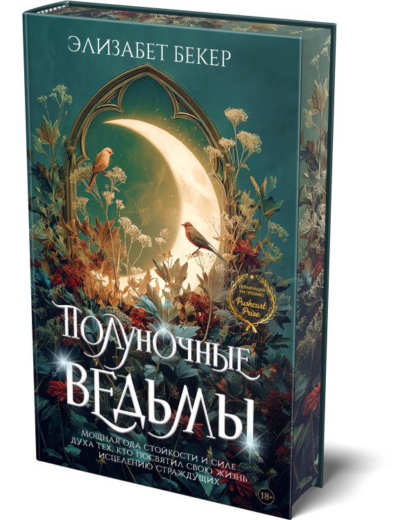 Полуночные ведьмы