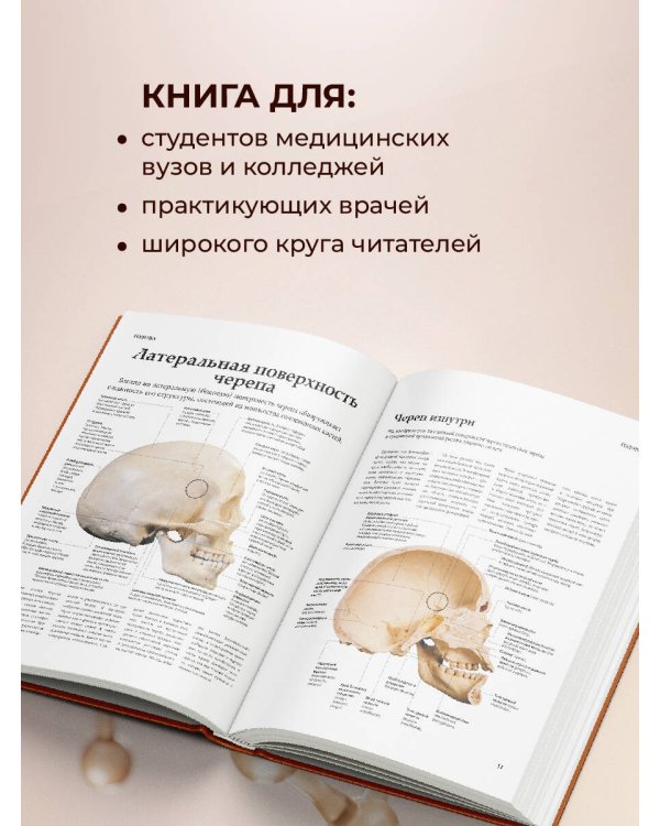 Атлас анатомии Абрахамса