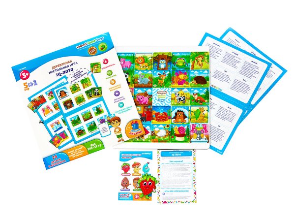 Сортер (Ковальский) Настольная игра «IQ-лото», 225201