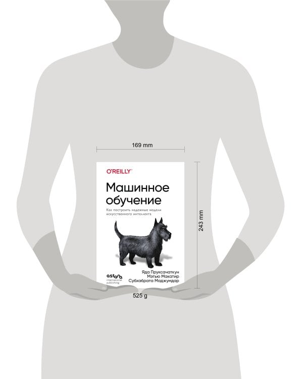 Машинное обучение. Как построить надежные модели искусственного интеллекта