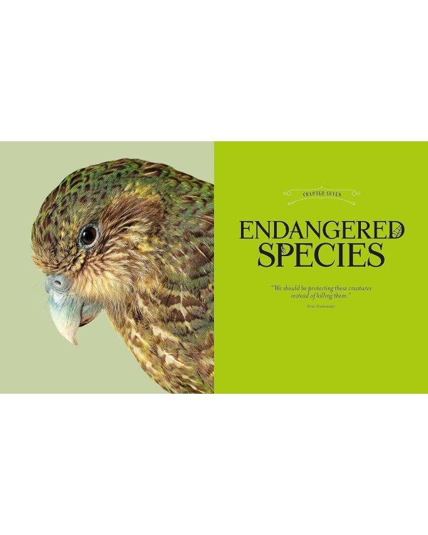 Fantastic Beasts: The Wonder of Nature Фантастические твари: чудо природы/ Книги на английском языке