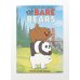 Читательский дневник. We bare bears