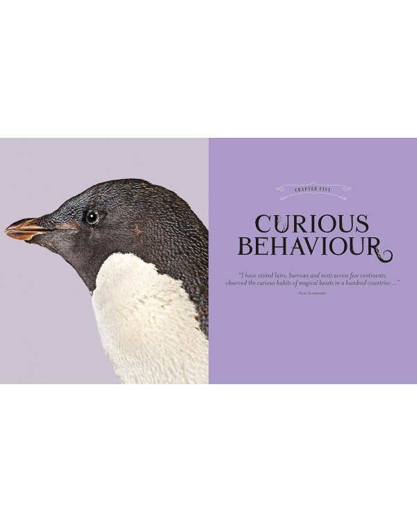 Fantastic Beasts: The Wonder of Nature Фантастические твари: чудо природы/ Книги на английском языке