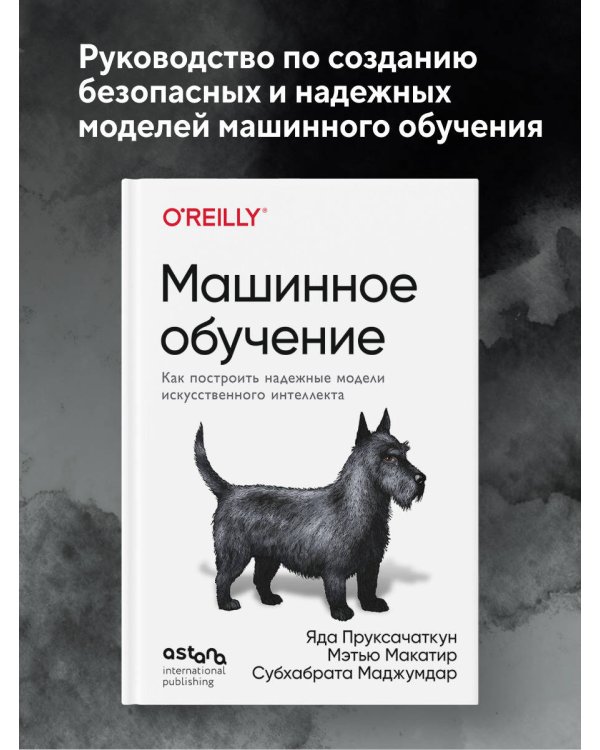 Машинное обучение. Как построить надежные модели искусственного интеллекта