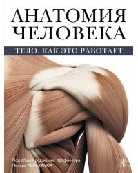 Анатомия человека