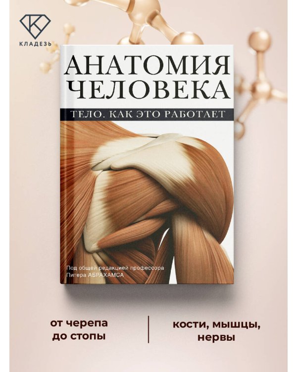 Атлас анатомии Абрахамса