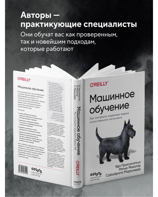 Машинное обучение. Как построить надежные модели искусственного интеллекта