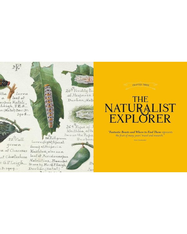 Fantastic Beasts: The Wonder of Nature Фантастические твари: чудо природы/ Книги на английском языке