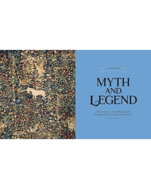 Fantastic Beasts: The Wonder of Nature Фантастические твари: чудо природы/ Книги на английском языке