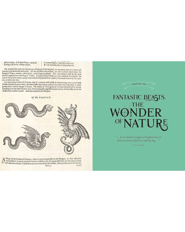 Fantastic Beasts: The Wonder of Nature Фантастические твари: чудо природы/ Книги на английском языке