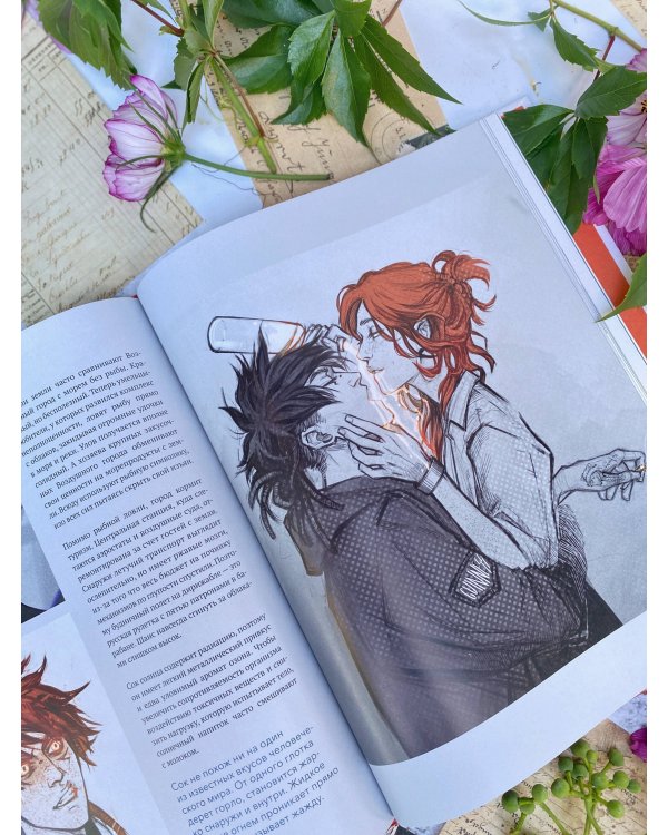 MadnessMalina. Артбук. Между моими мирами