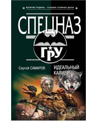 Идеальный калибр: роман