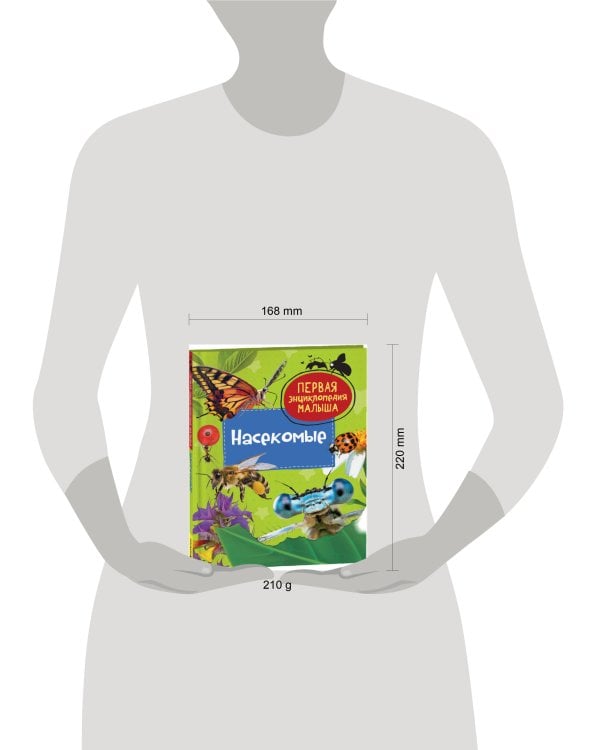 Насекомые. Первая энциклопедия малыша