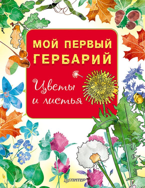 Вы и ваш ребенок (Питер ИД) Мой первый гербарий. Цветы и листья