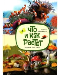 Что и как растёт