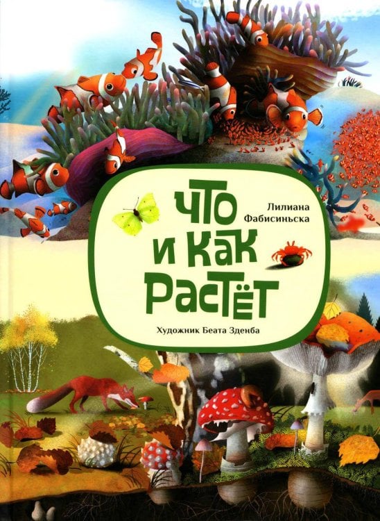 Что и как растёт