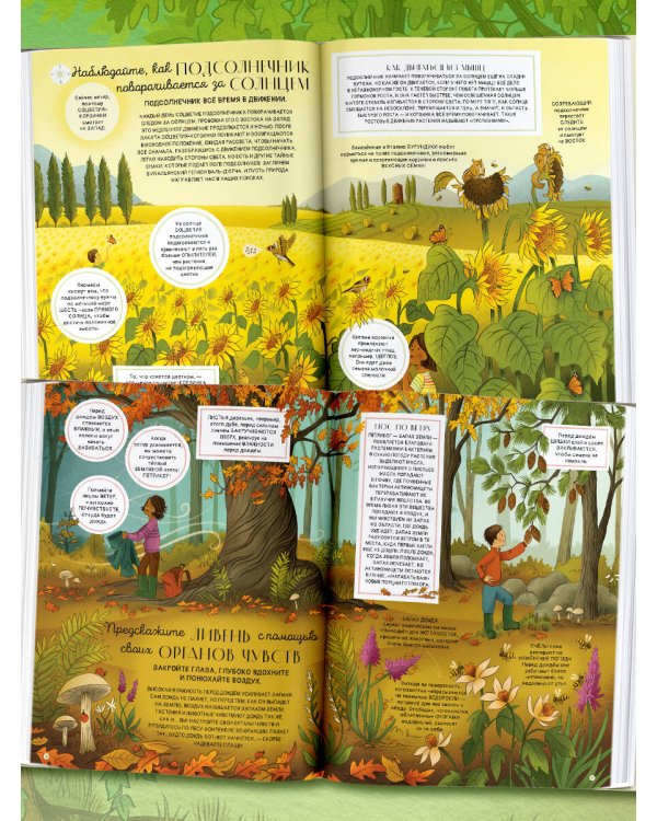 Секреты природы