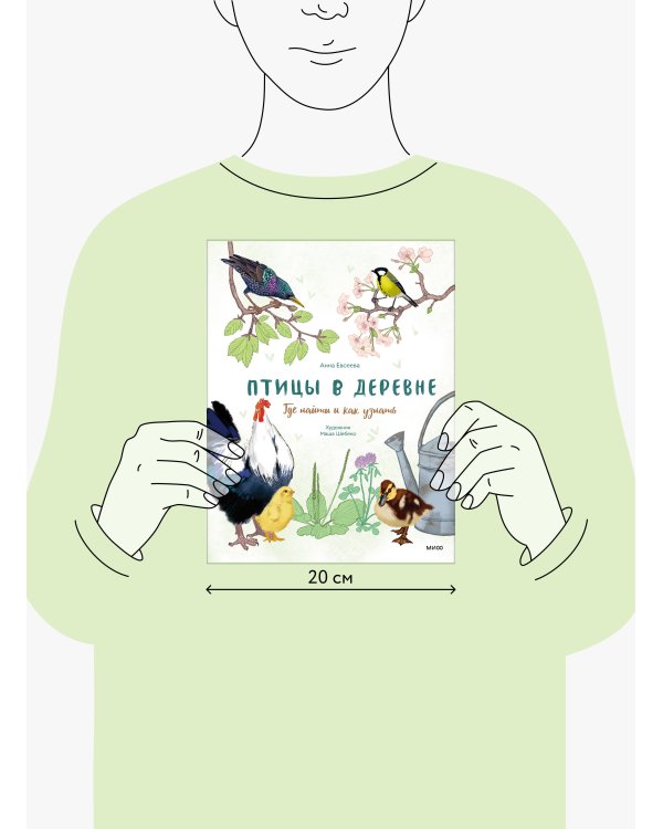 Птицы в деревне. Где найти и как узнать