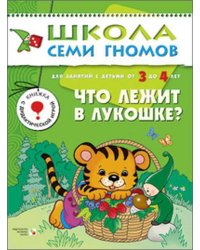 ШСГ. Четвертый год обучения. Что лежит в лукошке. Для занятий с детьми от 3 до 4 лет. Денисова Д.