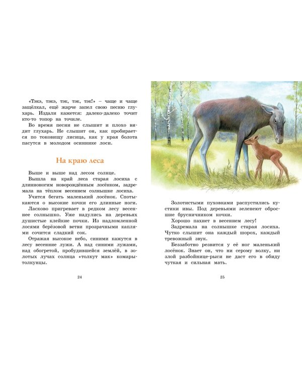 Год в лесу. Рассказы о природе